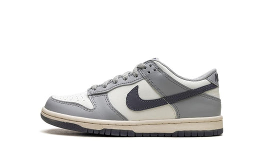 Nike Dunk Low Platinum Tint Light Carbon (GS)